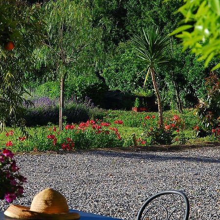 Agriturismo Coppi Rossi Torrazza  ภายนอก รูปภาพ
