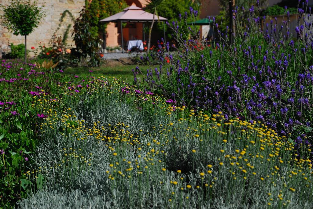 Agriturismo Coppi Rossi Torrazza  ภายนอก รูปภาพ